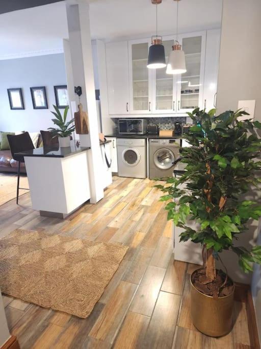 Cape Town, Sea Point, Beautiful 2 Bedroom Apartment @Tucked Away Екстер'єр фото
